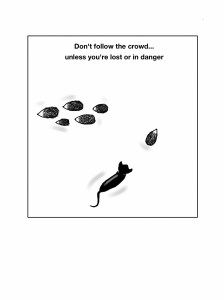 Harry the Hedgehog_picture 5