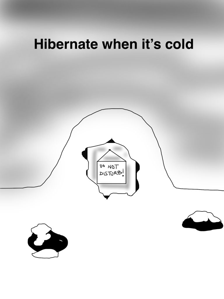 340B4CB8-44D2-4C3A-B014-07A45267F39F